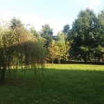 Siłownia plenerowa